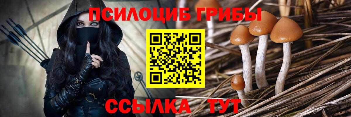 Старая Купавна  Галлюциногенные грибы Magic Shrooms  цены наркотик  Вход с VPN 
